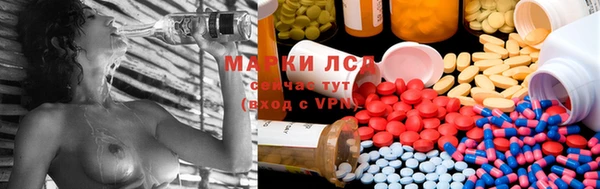 тгк Алзамай