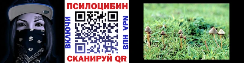 Галлюциногенные грибы ЛСД  Лебедянь 